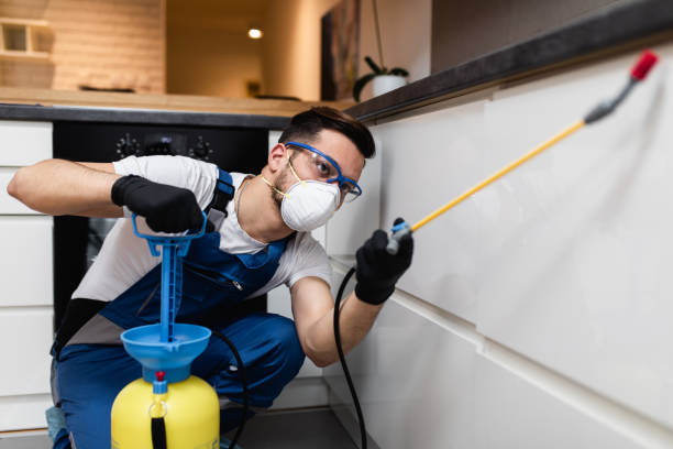 Best Cockroach Control Services  in Glassmanor, MD