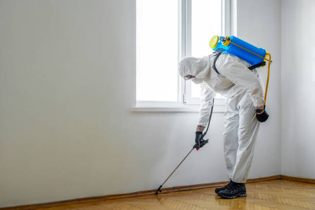 Best Residential Pest Control  in Glassmanor, MD