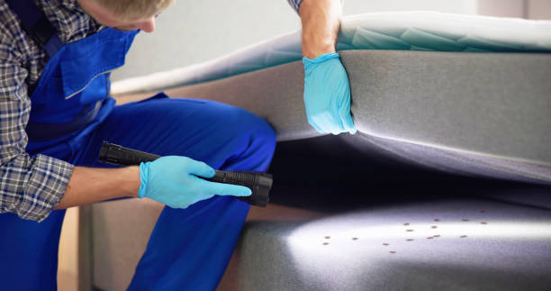 Best Termite Control Services  in Glassmanor, MD