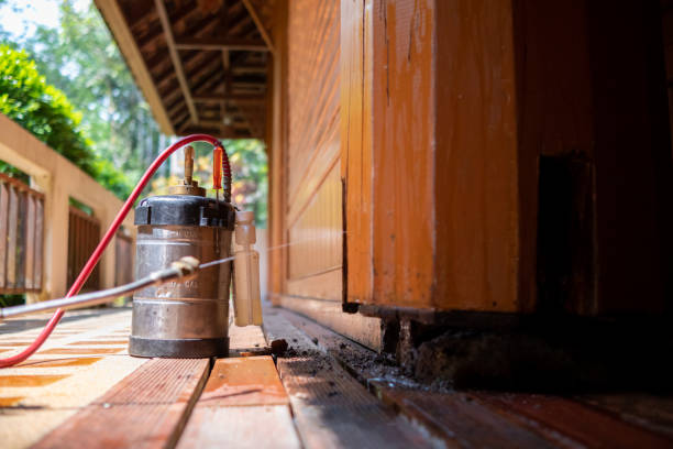 Best Pest Prevention Services  in Glassmanor, MD