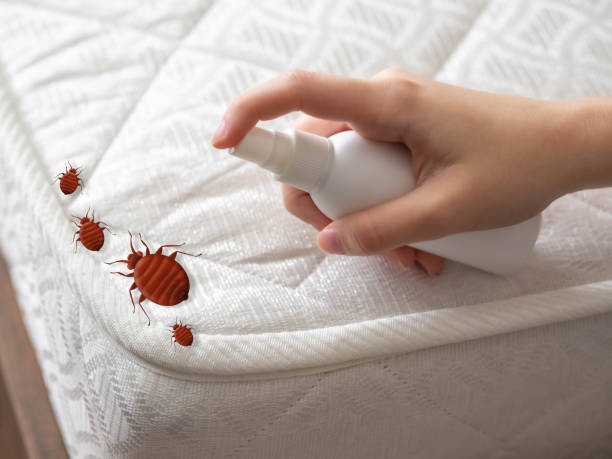  Glassmanor, MD Pest Control Pros
